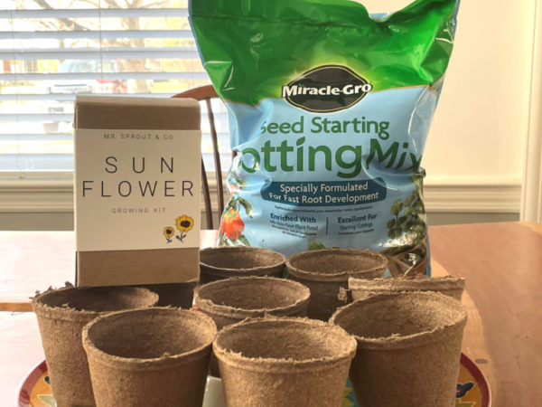 potting mix